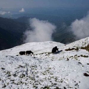 Mardi Himal Climbing (5587m/ 18330ft)