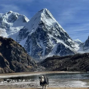 Kanchenjunga Trek