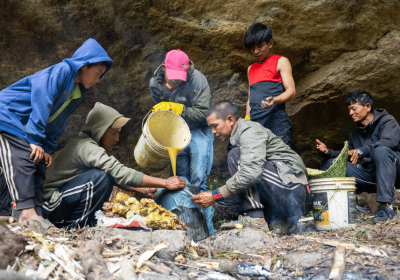 nepal-honey-hunting-tour-from-kathmandu